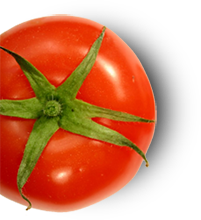 Tomato